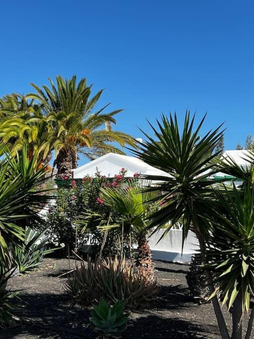 Lovely Casita Jade Playa Blanca  Bagian luar foto